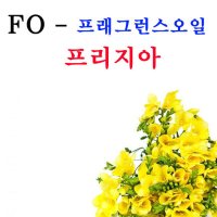 씨밀락 프래그런스오일 프리지아향