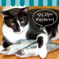 싱싱 고등어 캣닢쿠션 - 핸드메이드 고양이 장난감