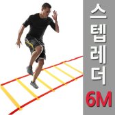 스텝레더 6m/훈련사다리 축구 학교체육