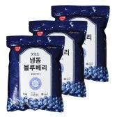 CJ프레시웨이 냉동 블루베리 3kg (1kgx3봉)