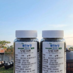 국내산 모링가환 500g