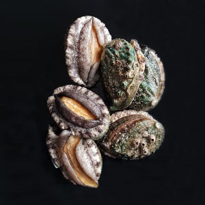 완도 전복, 특대 8-9미 1kg, 산지직송, 해수산소포장, 선물용