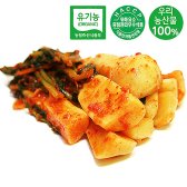 담채원 유기농 총각김치 1kg