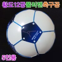 황도12궁풀러렌축구공 5인용