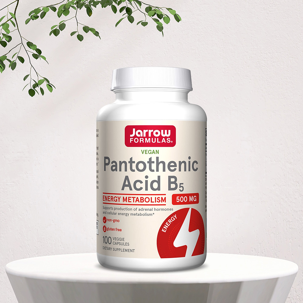 자로우 판토텐산 위드 칼슘 100 베지캡슐 500mg 재로우