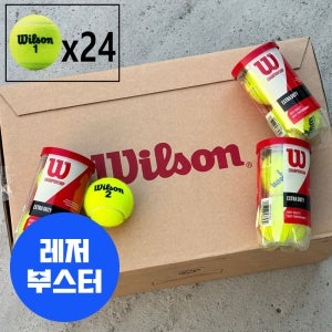 윌슨 테니스공 챔피온쉽 시합구 캔볼 윌슨볼 테니스볼 2개입