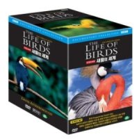 [DVD]  BBC 새들의 세계 10종 박스 세트 (BBC The Life of Birds 10 DVD SET)