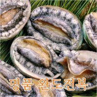 청정해역 완도전복 13미 1kg (13마리) / 산소포장