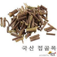 국산 접골목 [600g], 덧나무, 말오줌나무 [약재파는청년들]