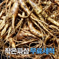 금산인삼 인삼 수삼 작은콩파삼 300g