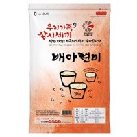 나노미 배아현미 10kg