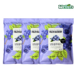 웰루츠 A등급 냉동 블루베리 1kg, 3개