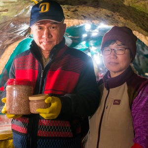 국내산천일염 토굴새우젓500g 육젓 추젓 오젓