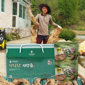 [국내산] 정직한 칡즙 칡생즙 100ml 30포 산지직송 진액