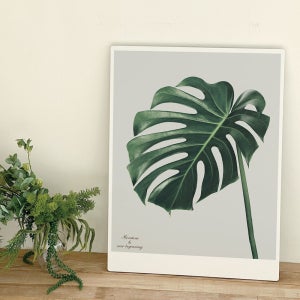 오홀리브 접이식 액자테이블 소(60x40) 몬스테라TWO 27cm기본다리