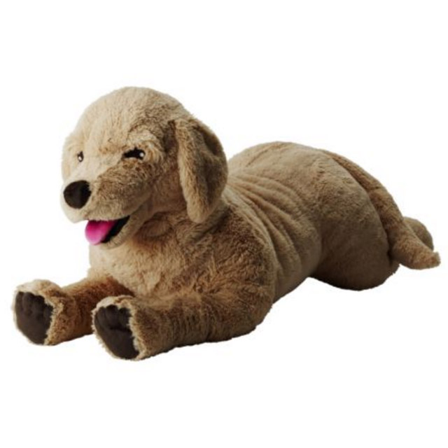 골든 리트리버 (Golden Retriever)