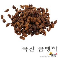 국산 제조 [200g], 굼벵이, 말린굼벵이 [약재파는청년들]