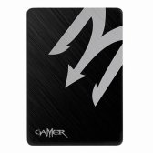 갤럭시 GAMER V100T 120GB