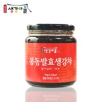 봉동생강마을 봉동 발효 생강차(유리) 국내산 토굴생강청 수제청 750g