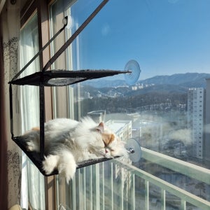 25kg 까지견디는 반영구 접이식 사계절 고양이 창문 해먹 키티실 튼튼한 매쉬