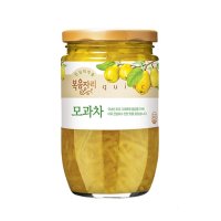 복음자리 모과차 480g [서울샵]