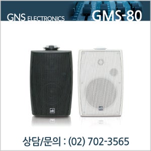 GNS GMS-80B/W 80W 패션스피커 2웨이 겸용 1개단위