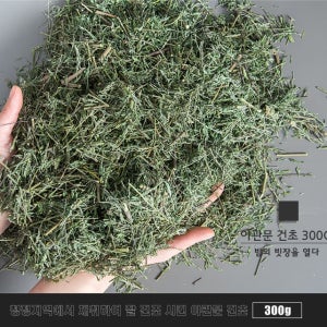 야관문 건초300g