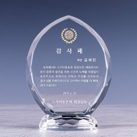 상패제작 감사패 공로패 재직 퇴직기념패 부모님감사패 P220