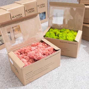 스칸디아모스 이끼 DIY 천연 스칸디나비아모스 20색 150g 화분 액자 인테리어 장식