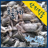 마파람수산 당일작업 남해안 칠게1kg