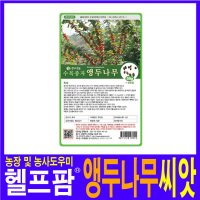 헬프팜 앵두나무 50g 종자 씨앗 앵두나무씨 나무씨