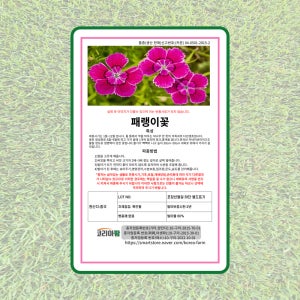 패랭이 1kg 패랭이꽃씨,씨앗,종자 야생화