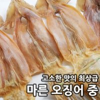 빅건어물 마른오징어 중 5마리 국내산오징어 자연산 동해안 건조오징어