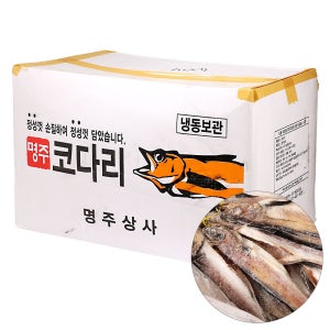 코다리(14코) 1BOX/러시아
