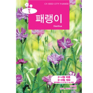 패랭이꽃 씨앗 1500립 중포장 패랭이 종자