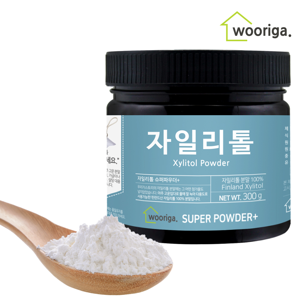 핀란드 자일리톨 설탕 가루 500g