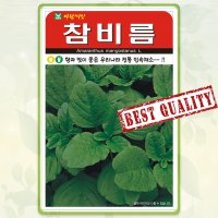 참비름 씨앗 1000립 비름 나물 산나물 약초 종자 씨 봄 여름 가을 비름씨 AR