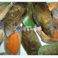 그린홍합 초록입홍합 800g 초록홍합 찜 홍합탕