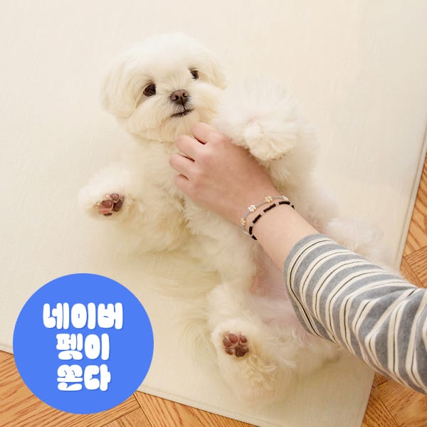 [러그140x180cm] 디팡 4mm 펫 미끄럼방지 강아지 고양이 애견매트 슬개골 반려견