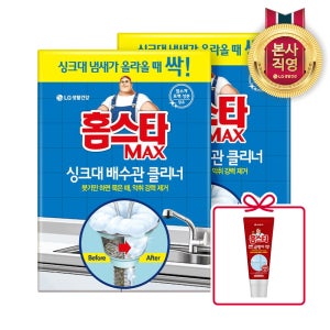 홈스타 맥스 싱크대 배수관 클리너 2개 + 특별증정( 바르는 곰팡이 싹 120ml)