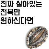 100% 살아있는 완도전복 1kg 8-14미 선물용 고급포장 산지직송