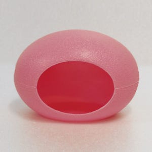 공룡알 햄스터 은신처 햄스터 집