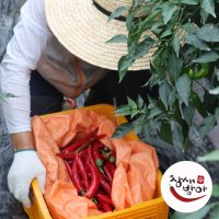 국산 청양고추가루1근 500g 조금굵게(김치,국찌개용)