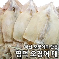 빅건어물 영덕오징어 대 5마리 국내산오징어 마른 건조오징어