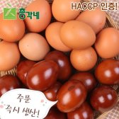 친환경 훈제란/구운란/반숙란 30개입