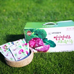 [2+1] 제주 산 빨간 양배추브로콜리즙 진액