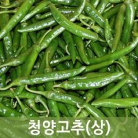 청양고추( 상)10kg 1박스 두리반농산