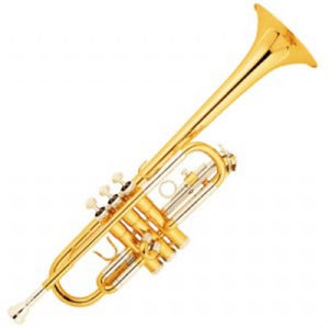 얀 트럼펫 YT-1335C C조
