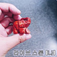 라이브스톤[나] 레드재스퍼 [다시시작] 천연 크리스탈, 원석, 힐링스톤