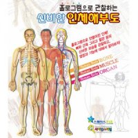 홀로그램으로 관찰하는 신비한 인체해부도(10인용)